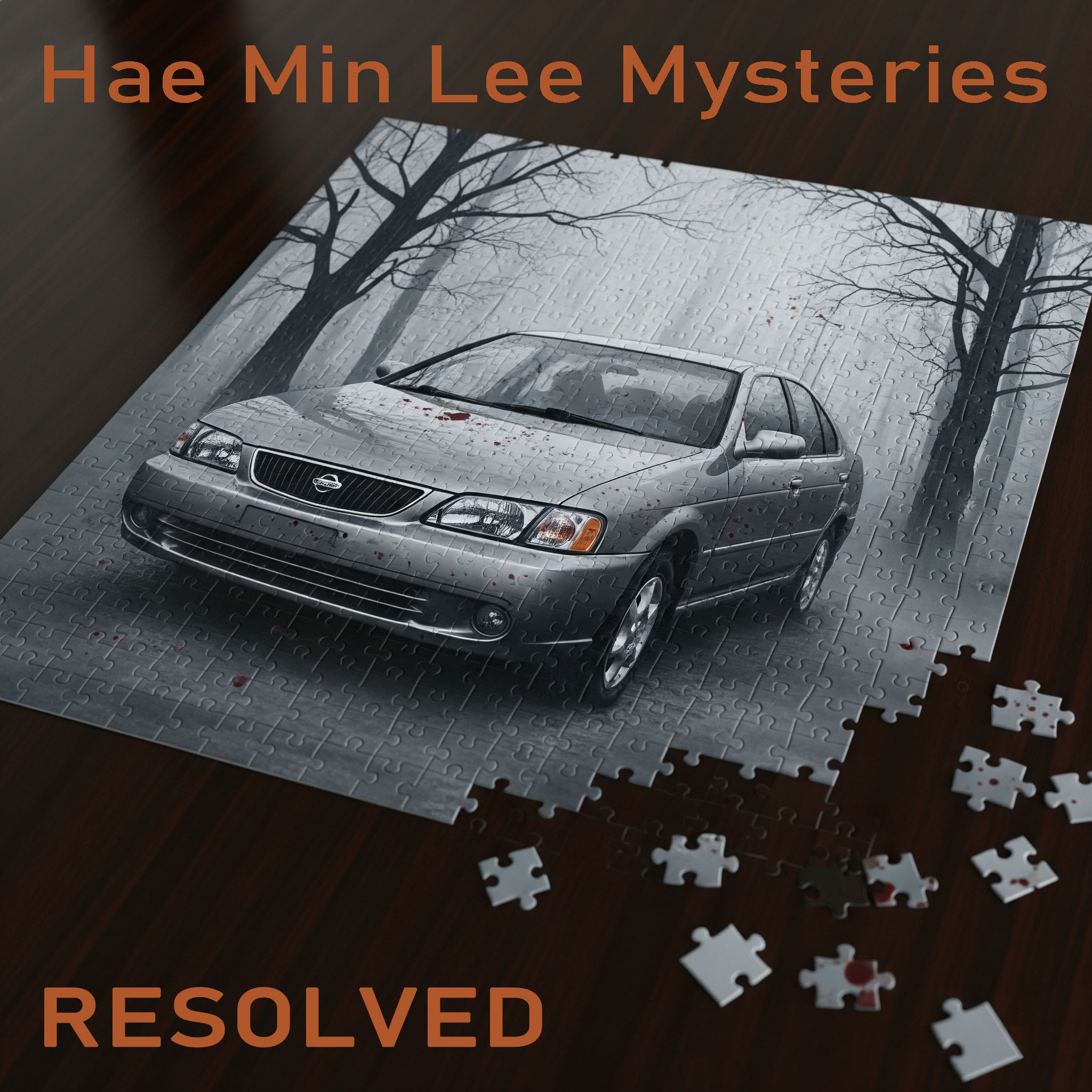 Hae Min Lee Mysteries Resolved